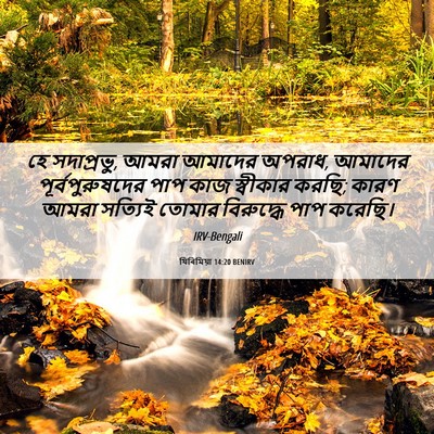 Picture 06 - যিৰিমিয়া 14:20 BENIRV - হে সদাপ্রভু, আমরা - Bible Verse Picture