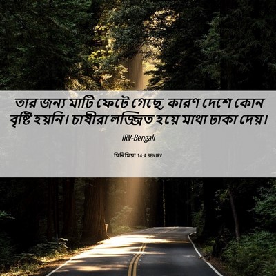 Picture 06 - যিৰিমিয়া 14:4 BENIRV - তার জন্য মাটি ফেটে - Bible Verse Picture