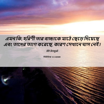 Picture 06 - যিৰিমিয়া 14:5 BENIRV - এমন কি, হরিণী তার - Bible Verse Picture