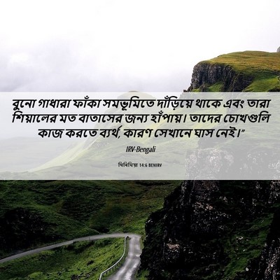 Picture 06 - যিৰিমিয়া 14:6 BENIRV - বুনো গাধারা ফাঁকা - Bible Verse Picture