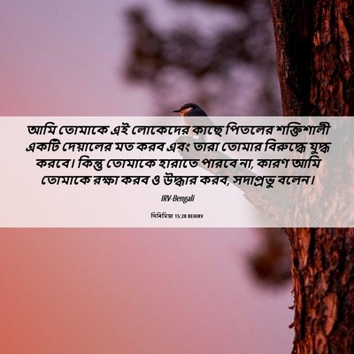 Picture 06 - যিৰিমিয়া 15:20 BENIRV - আমি তোমাকে এই - Bible Verse Picture