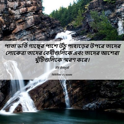 Picture 06 - যিৰিমিয়া 17:2 BENIRV - পাতা ভর্তি গাছের - Bible Verse Picture