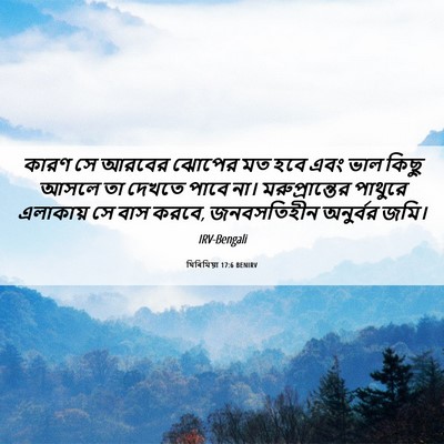 Picture 06 - যিৰিমিয়া 17:6 BENIRV - কারণ সে আরবের - Bible Verse Picture