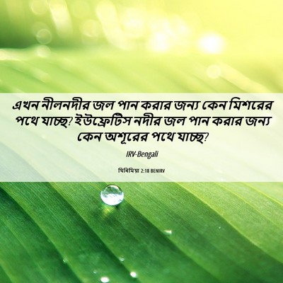 Picture 06 - যিৰিমিয়া 2:18 BENIRV - এখন নীলনদীর জল পান - Bible Verse Picture