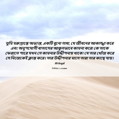 Picture 06 - যিৰিমিয়া 2:24 BENIRV - তুমি মরুপ্রান্তে - Bible Verse Picture