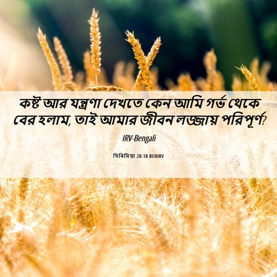 Picture 06 - যিৰিমিয়া 20:18 BENIRV - কষ্ট আর যন্ত্রণা - Bible Verse Picture