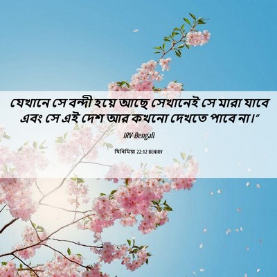Picture 06 - যিৰিমিয়া 22:12 BENIRV - যেখানে সে বন্দী - Bible Verse Picture