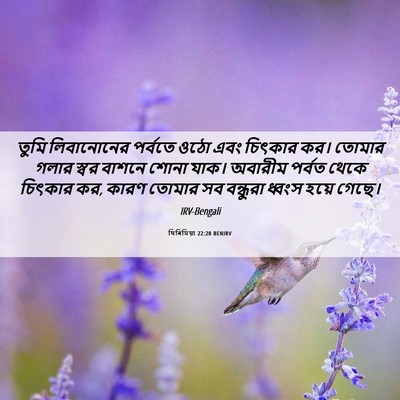 Picture 06 - যিৰিমিয়া 22:20 BENIRV - তুমি লিবানোনের - Bible Verse Picture