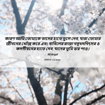 Picture 06 - যিৰিমিয়া 22:25 BENIRV - কারণ আমি তোমাকে - Bible Verse Picture