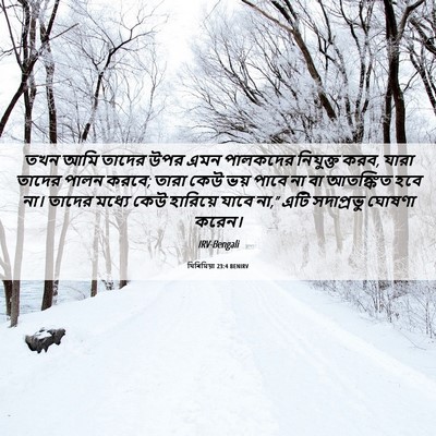 Picture 06 - যিৰিমিয়া 23:4 BENIRV - তখন আমি তাদের উপর - Bible Verse Picture