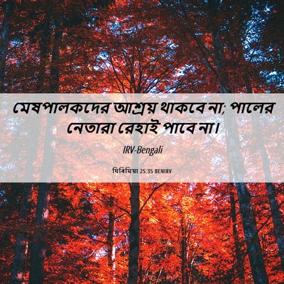 Picture 06 - যিৰিমিয়া 25:35 BENIRV - মেষপালকদের আশ্রয় - Bible Verse Picture