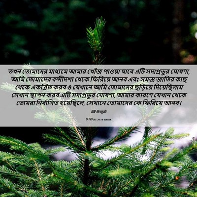 Picture 06 - যিৰিমিয়া 29:14 BENIRV - তখন তোমাদের - Bible Verse Picture