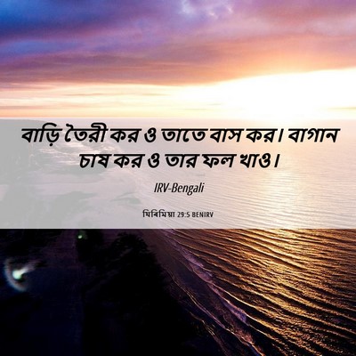 Picture 06 - যিৰিমিয়া 29:5 BENIRV - বাড়ি তৈরী কর ও - Bible Verse Picture