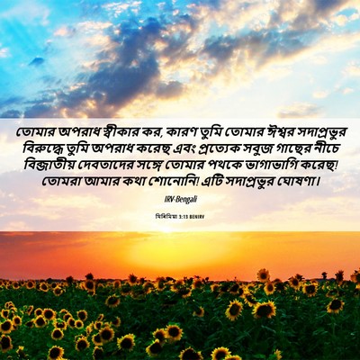 Picture 06 - যিৰিমিয়া 3:13 BENIRV - তোমার অপরাধ - Bible Verse Picture