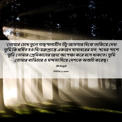 Picture 06 - যিৰিমিয়া 3:2 BENIRV - “তোমার চোখ তুলে - Bible Verse Picture