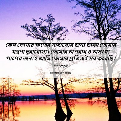 Picture 06 - যিৰিমিয়া 30:15 BENIRV - কেন তোমার ক্ষতের - Bible Verse Picture