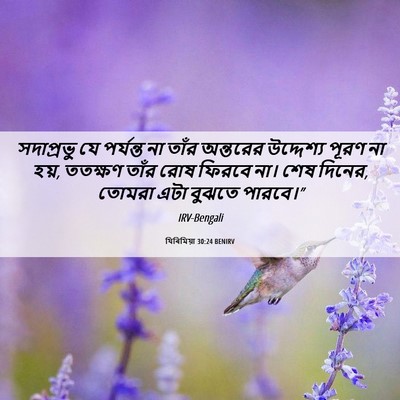 Picture 06 - যিৰিমিয়া 30:24 BENIRV - সদাপ্রভু যে - Bible Verse Picture