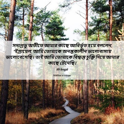 Picture 06 - যিৰিমিয়া 31:3 BENIRV - সদাপ্রভু অতীতে - Bible Verse Picture