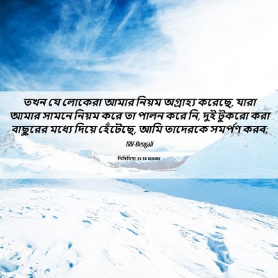 Picture 06 - যিৰিমিয়া 34:18 BENIRV - তখন যে লোকেরা আমার - Bible Verse Picture