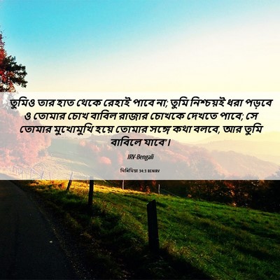 Picture 06 - যিৰিমিয়া 34:3 BENIRV - তুমিও তার হাত থেকে - Bible Verse Picture