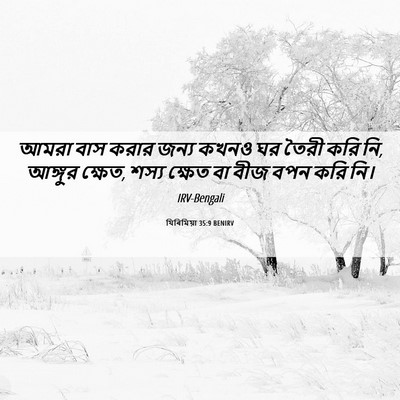 Picture 06 - যিৰিমিয়া 35:9 BENIRV - আমরা বাস করার জন্য - Bible Verse Picture