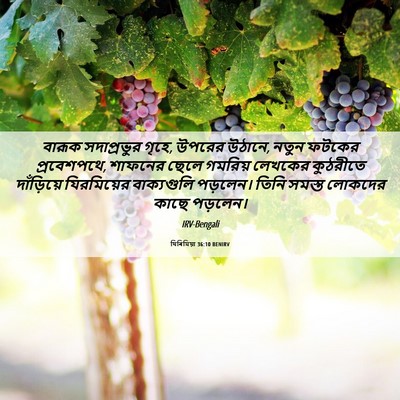 Picture 06 - যিৰিমিয়া 36:10 BENIRV - বারূক সদাপ্রভুর - Bible Verse Picture