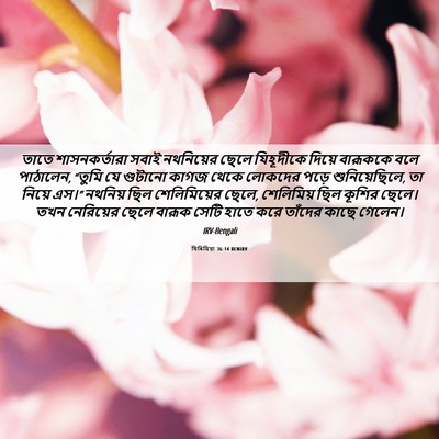 Picture 06 - যিৰিমিয়া 36:14 BENIRV - তাতে শাসনকর্তারা - Bible Verse Picture