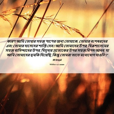 Picture 06 - যিৰিমিয়া 36:31 BENIRV - কারণ আমি তোমার - Bible Verse Picture
