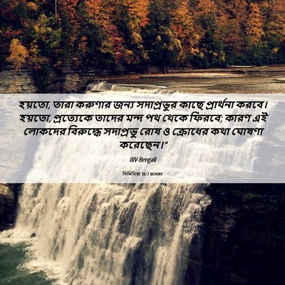 Picture 06 - যিৰিমিয়া 36:7 BENIRV - হয়তো, তারা করুণার - Bible Verse Picture