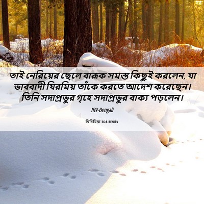 Picture 06 - যিৰিমিয়া 36:8 BENIRV - তাই নেরিয়ের ছেলে - Bible Verse Picture