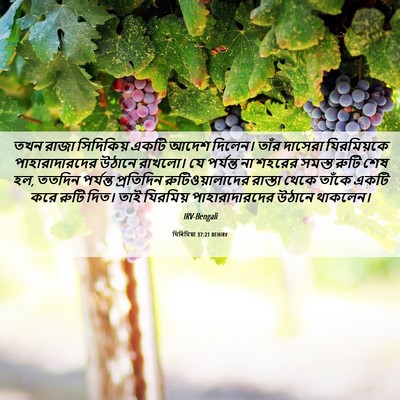 Picture 06 - যিৰিমিয়া 37:21 BENIRV - তখন রাজা সিদিকিয় - Bible Verse Picture