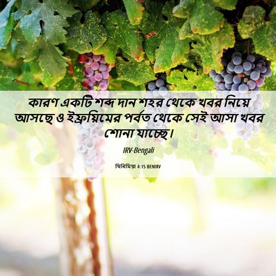 Picture 06 - যিৰিমিয়া 4:15 BENIRV - কারণ একটি শব্দ দান - Bible Verse Picture