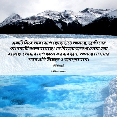 Picture 06 - যিৰিমিয়া 4:7 BENIRV - একটি সিংহ তার ঝোপ - Bible Verse Picture