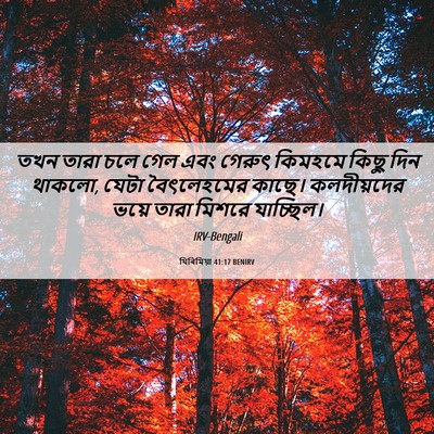Picture 06 - যিৰিমিয়া 41:17 BENIRV - তখন তারা চলে গেল - Bible Verse Picture