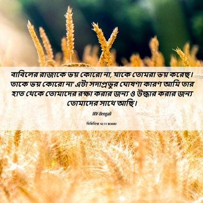 Picture 06 - যিৰিমিয়া 42:11 BENIRV - বাবিলের রাজাকে - Bible Verse Picture