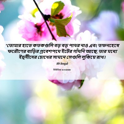 Picture 06 - যিৰিমিয়া 43:9 BENIRV - “তোমার হাতে - Bible Verse Picture