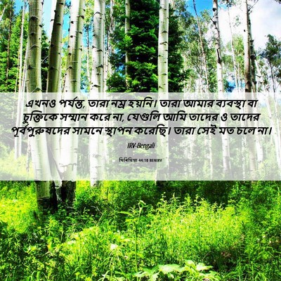 Picture 06 - যিৰিমিয়া 44:10 BENIRV - এখনও পর্যন্ত, তারা - Bible Verse Picture