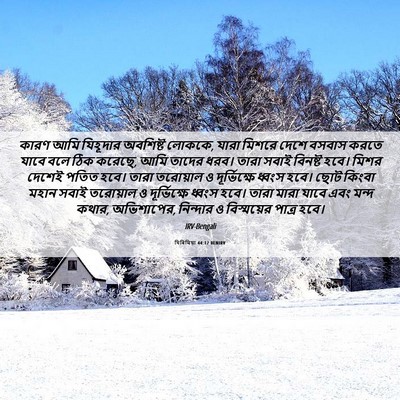 Picture 06 - যিৰিমিয়া 44:12 BENIRV - কারণ আমি যিহূদার - Bible Verse Picture