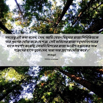 Picture 06 - যিৰিমিয়া 44:30 BENIRV - সদাপ্রভু এই কথা - Bible Verse Picture