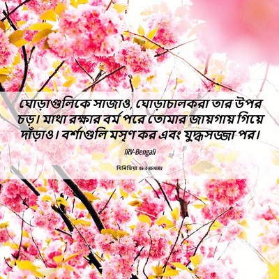 Picture 06 - যিৰিমিয়া 46:4 BENIRV - ঘোড়াগুলিকে - Bible Verse Picture