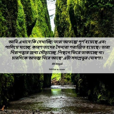 Picture 06 - যিৰিমিয়া 46:5 BENIRV - আমি এখানে কি - Bible Verse Picture