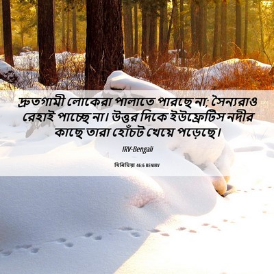 Picture 06 - যিৰিমিয়া 46:6 BENIRV - দ্রুতগামী লোকেরা - Bible Verse Picture