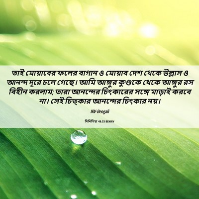 Picture 06 - যিৰিমিয়া 48:33 BENIRV - তাই মোয়াবের ফলের - Bible Verse Picture