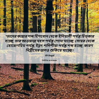 Picture 06 - যিৰিমিয়া 48:34 BENIRV - “তাদের কান্নার - Bible Verse Picture