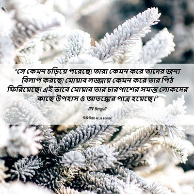 Picture 06 - যিৰিমিয়া 48:39 BENIRV - “সে কেমন চড়িয়ে - Bible Verse Picture