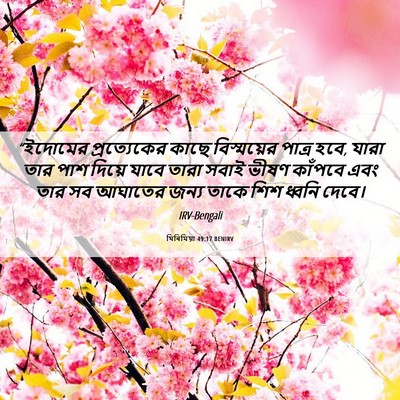Picture 06 - যিৰিমিয়া 49:17 BENIRV - “ইদোমের - Bible Verse Picture