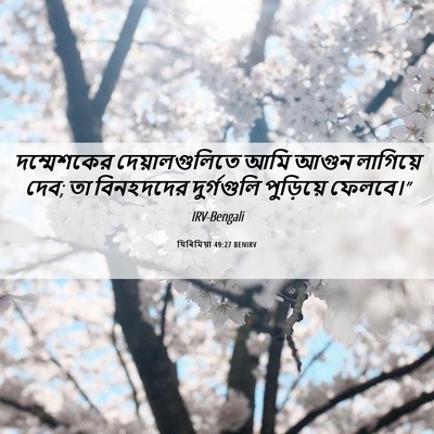 Picture 06 - যিৰিমিয়া 49:27 BENIRV - দম্মেশকের - Bible Verse Picture