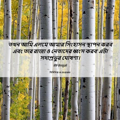 Picture 06 - যিৰিমিয়া 49:38 BENIRV - তখন আমি এলমে আমার - Bible Verse Picture