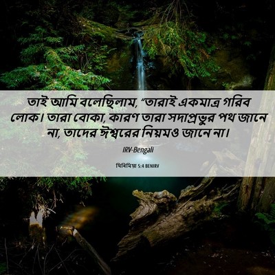 Picture 06 - যিৰিমিয়া 5:4 BENIRV - তাই আমি বলেছিলাম, - Bible Verse Picture