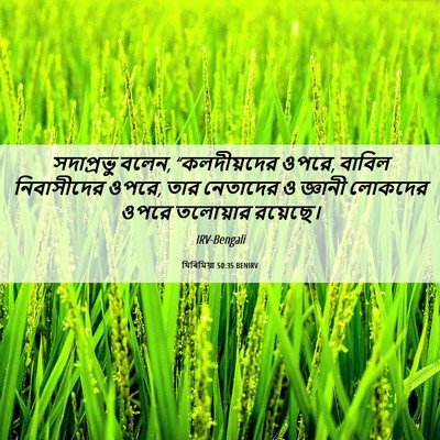 Picture 06 - যিৰিমিয়া 50:35 BENIRV - সদাপ্রভু বলেন, - Bible Verse Picture
